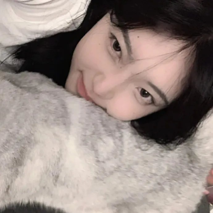 小狗丹的物语